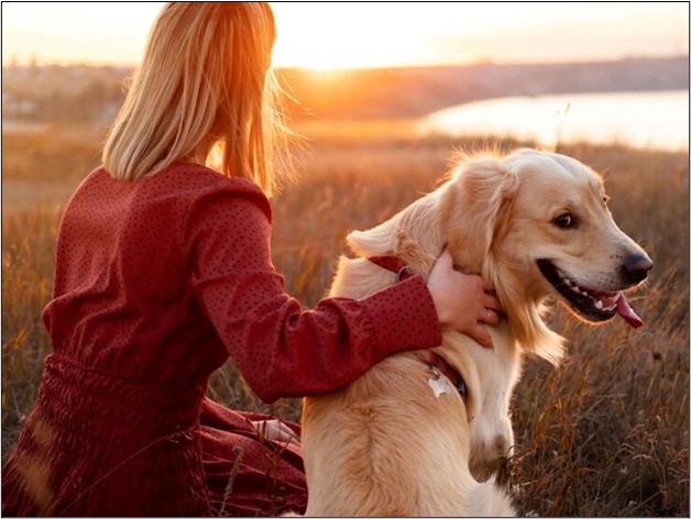Essential Advice for Pet Owners During Hot Weather